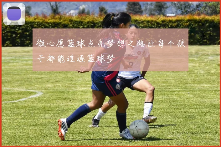 微心愿篮球点亮梦想之路让每个孩子都能追逐篮球梦