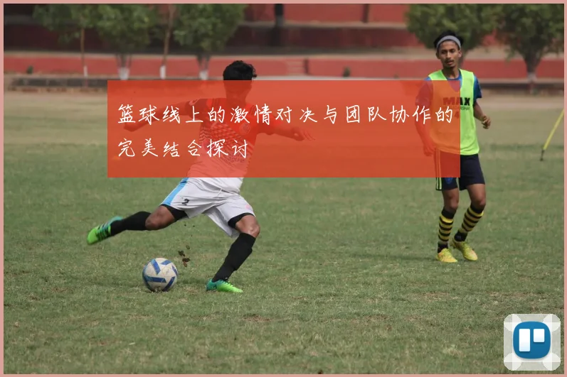 篮球线上的激情对决与团队协作的完美结合探讨