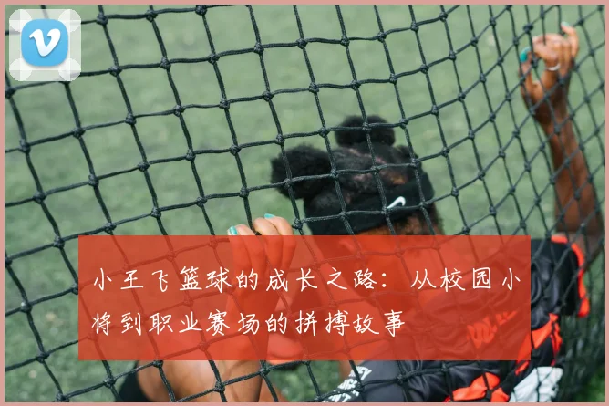 小王飞篮球的成长之路：从校园小将到职业赛场的拼搏故事
