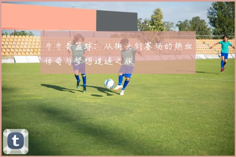牛牛哥篮球：从街头到赛场的热血传奇与梦想追逐之旅