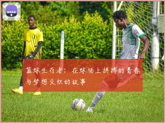 篮球生存者：在球场上拼搏的青春与梦想交织的故事