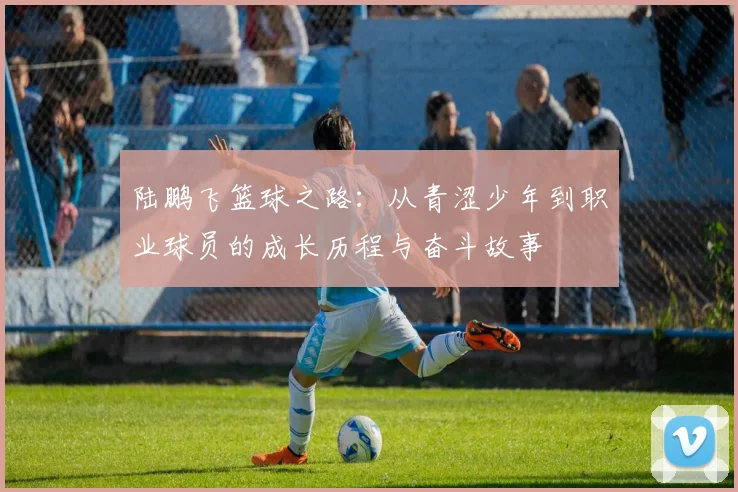 陆鹏飞篮球之路：从青涩少年到职业球员的成长历程与奋斗故事