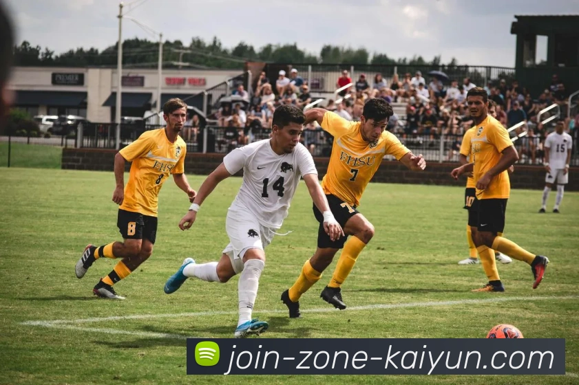 开云APP 体育赛事宣传图